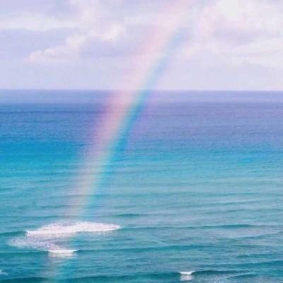 KOKapp下载手机版