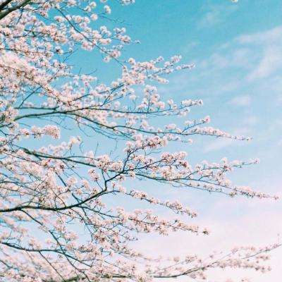 大众彩票用户登录注册