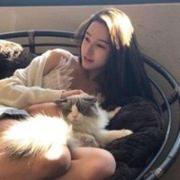 北京pk赛车app官网下载安装